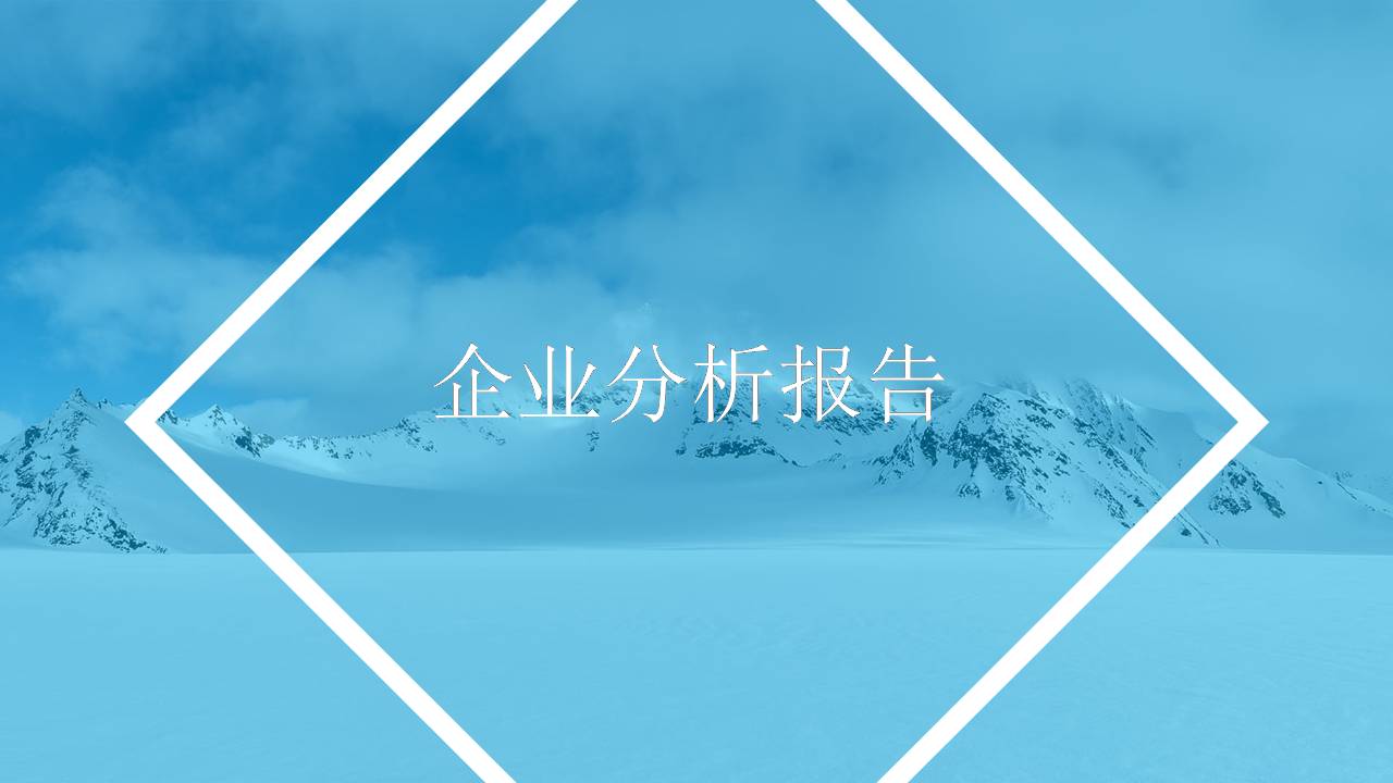 企业化简介浅蓝色ppt模板