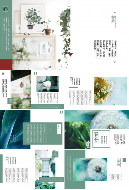 春分清新的活动策划方案ppt模板