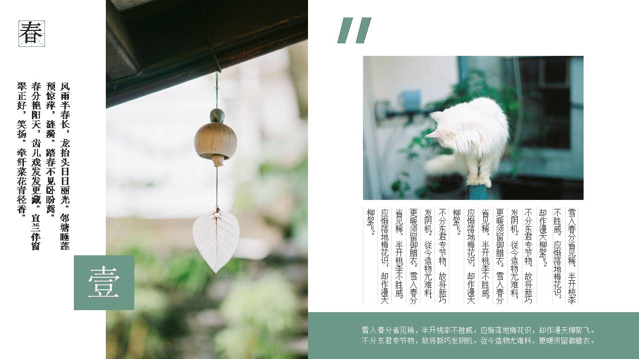 春分清新的活动策划方案ppt模板