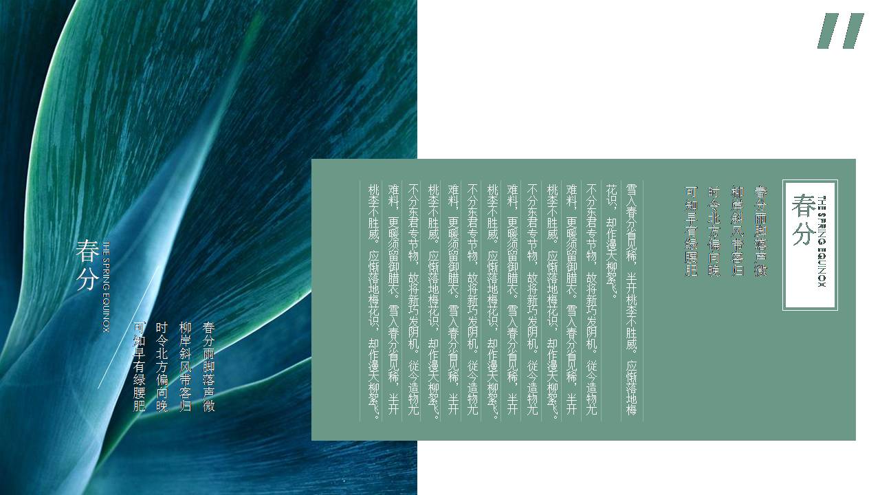 春分清新的活动策划方案ppt模板