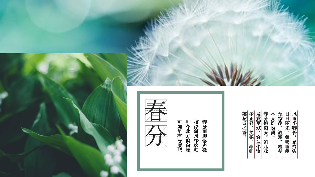 春分清新的活动策划方案ppt模板