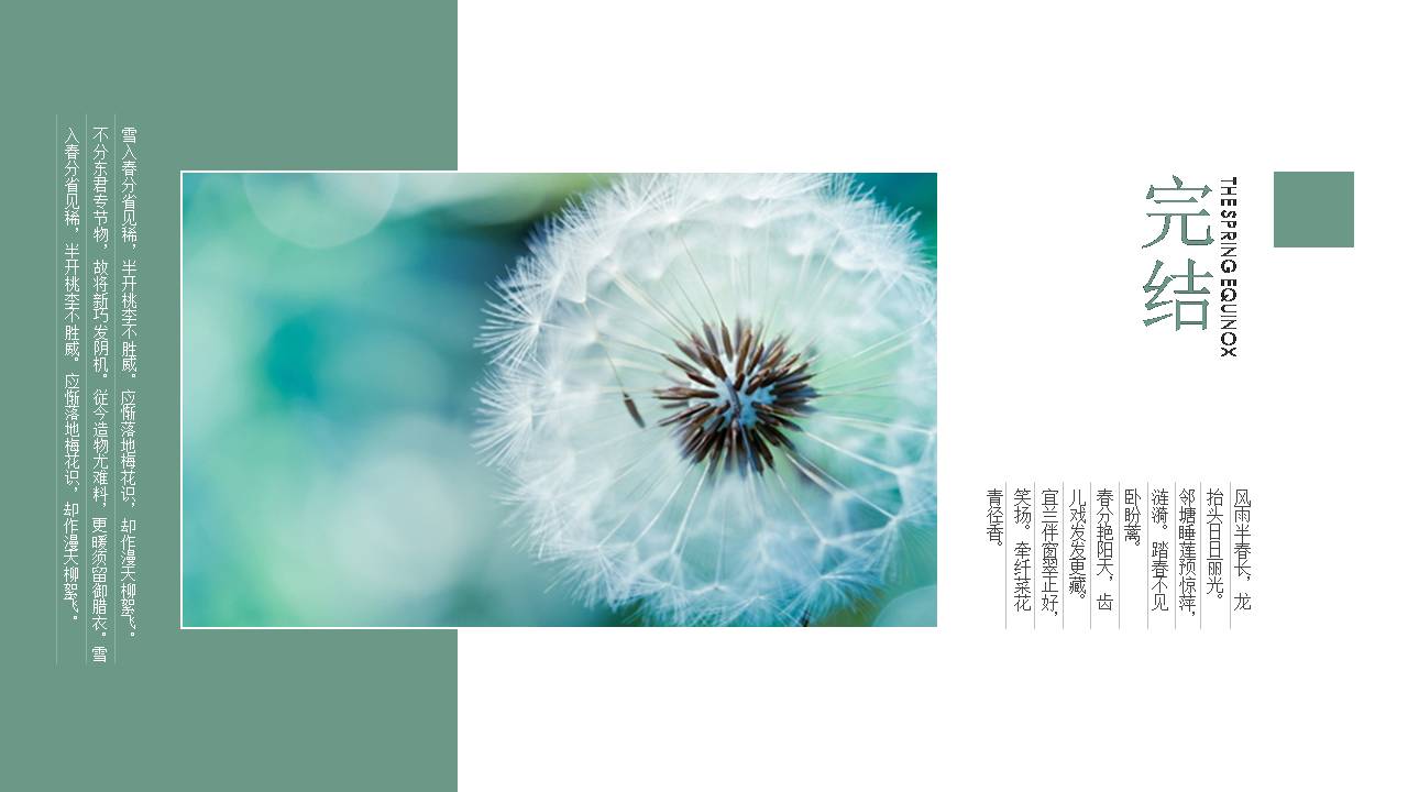 春分清新的活动策划方案ppt模板