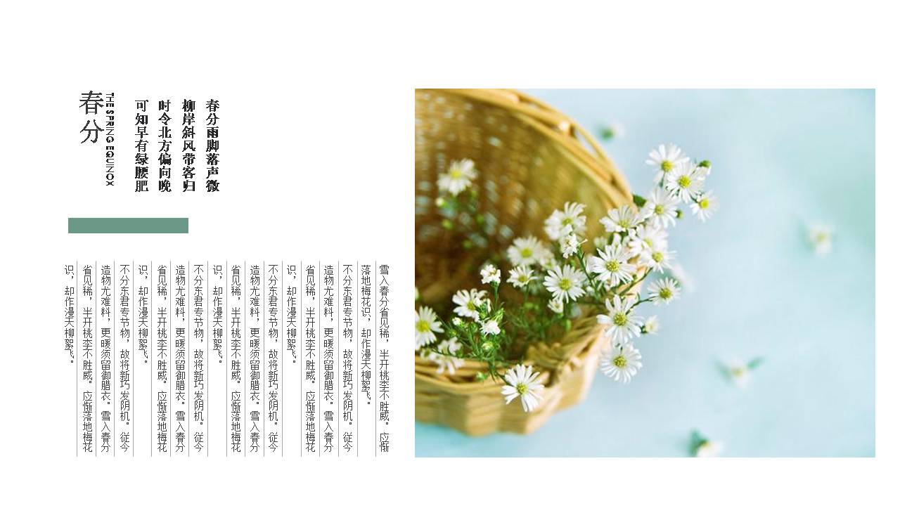 春分清新的活动策划方案ppt模板