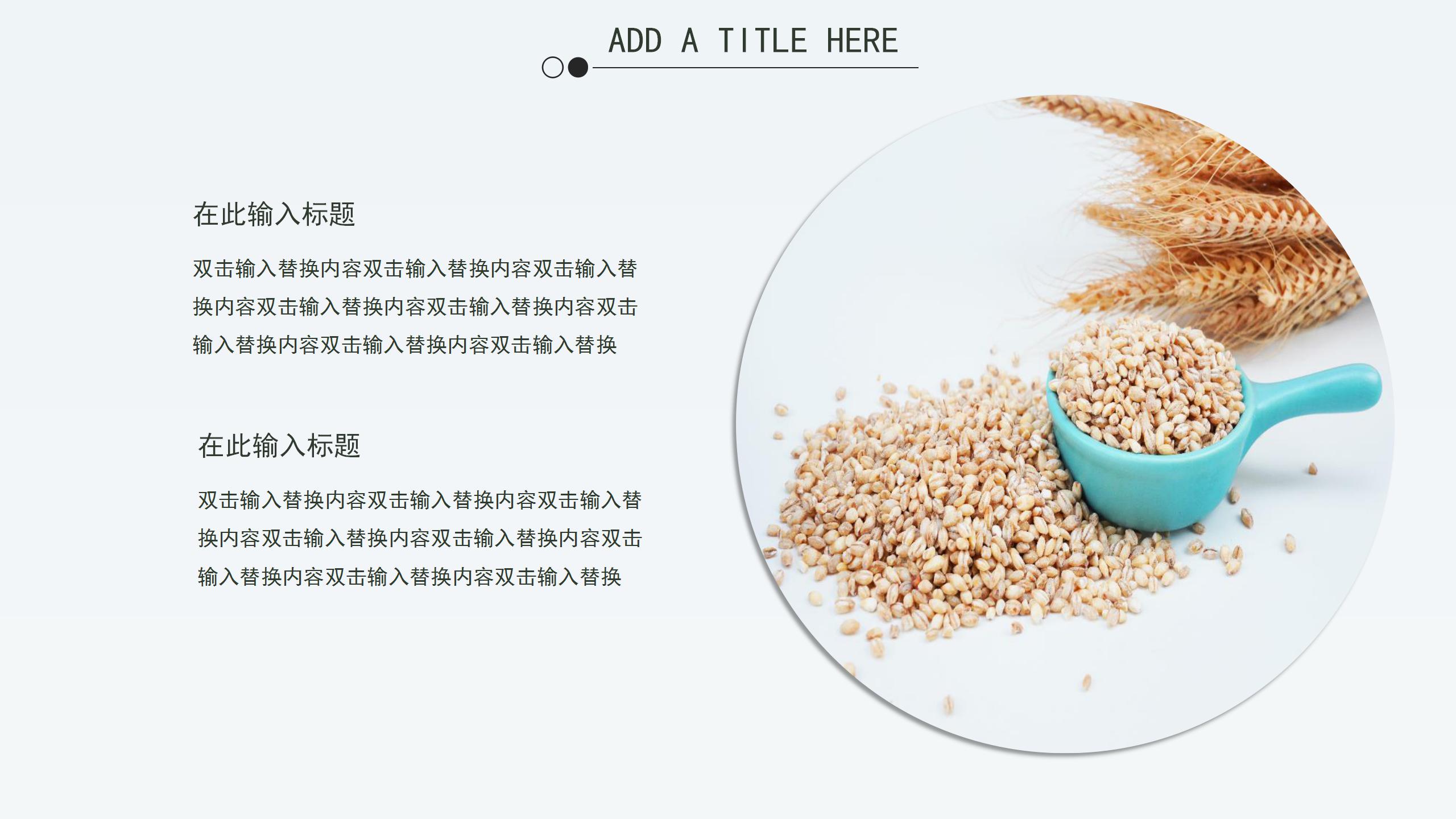 爱护粮食人人有责主题工作汇报ppt模板