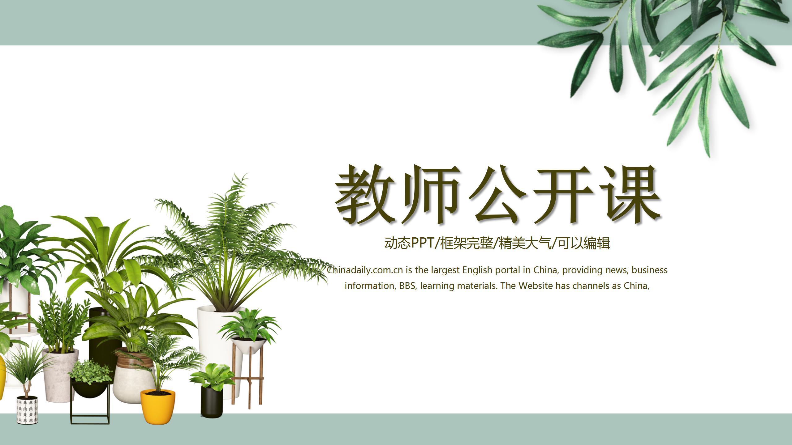 简洁小清新教师公开课ppt模板