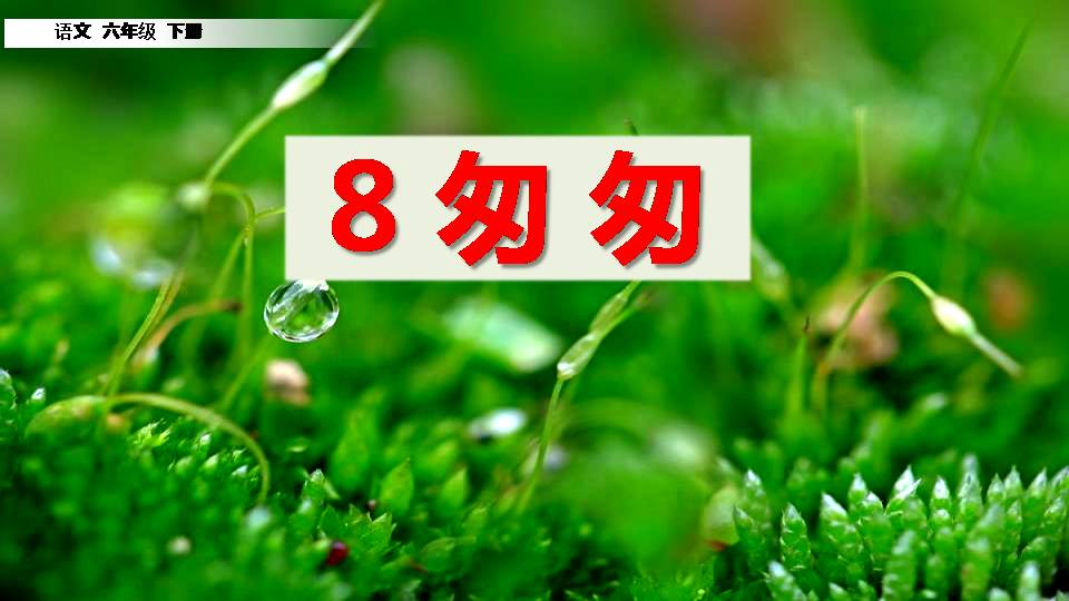 匆匆语文ppt课件