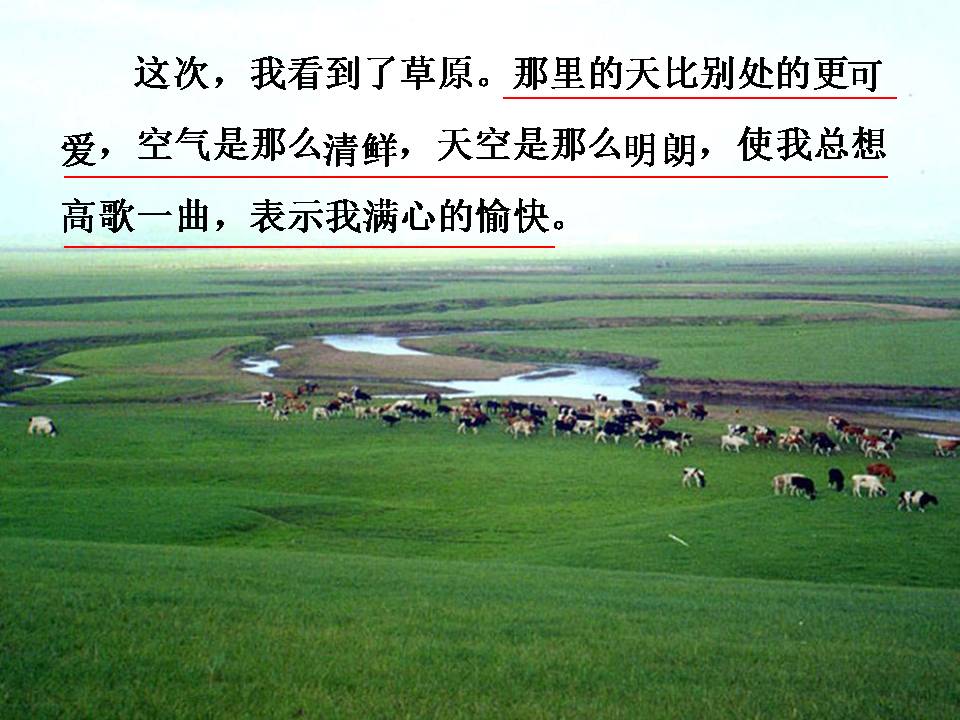 草原这篇课文课件ppt