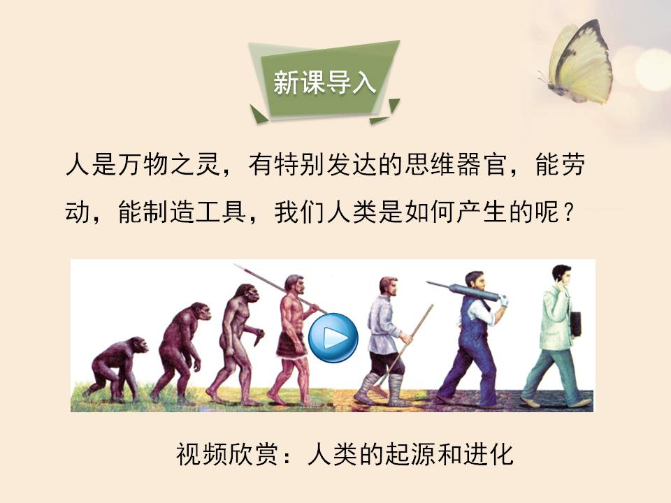 人类的起源ppt课件