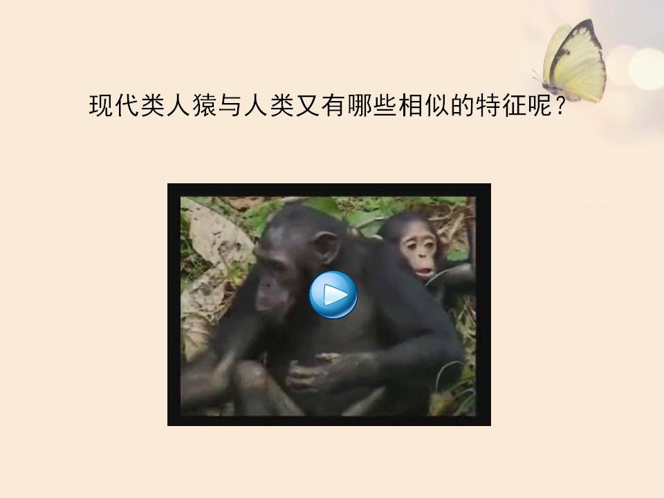 人类的起源ppt课件