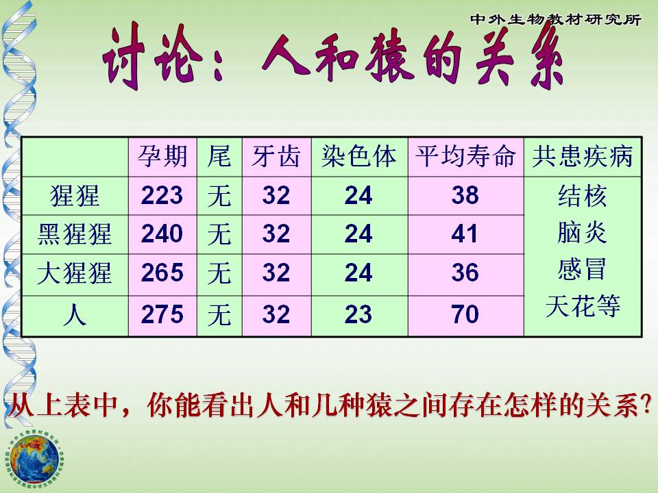 人类的起源和进化ppt模板