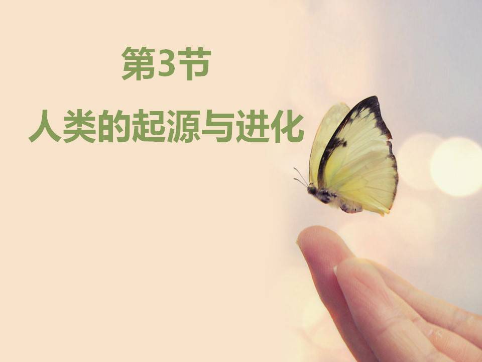 人类的起源ppt课件