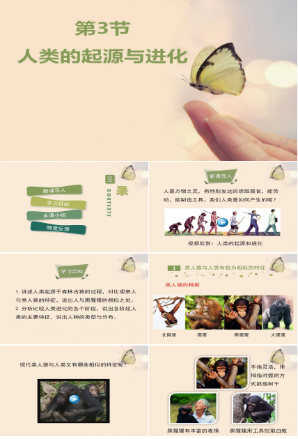 人类的起源ppt课件
