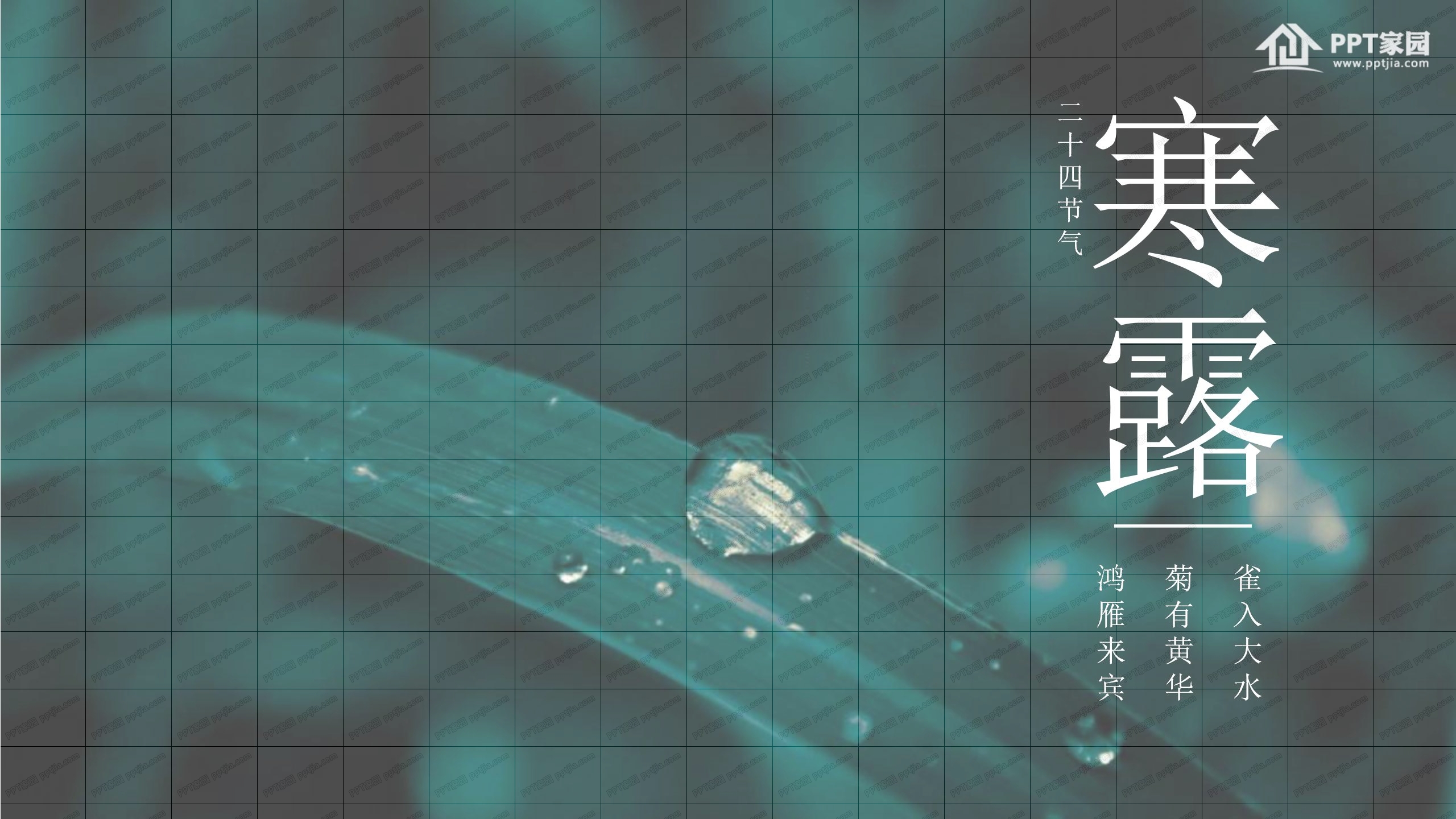 清新传统节日二十四节气寒露活动策划ppt模板