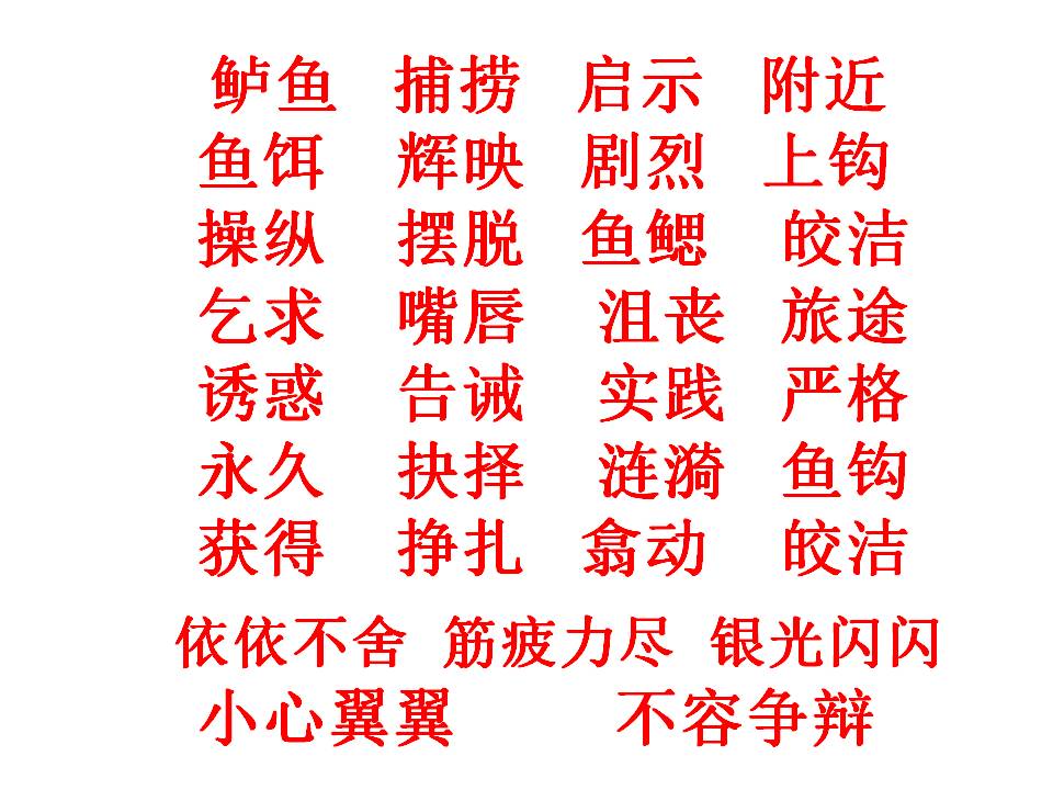 钓鱼的启示鲁教版ppt模板