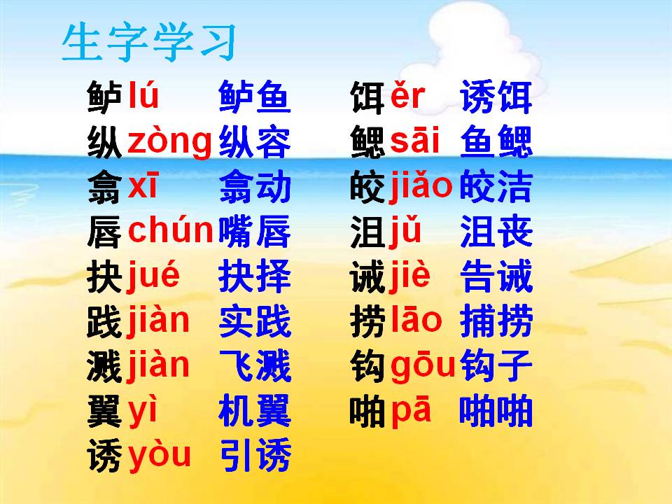 钓鱼的启示鲁教版课件ppt模板