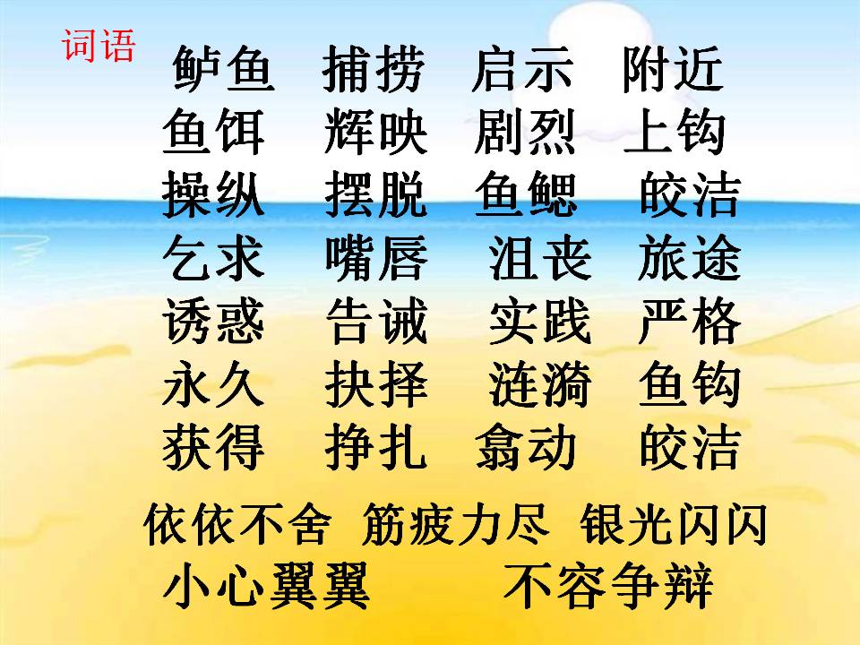 钓鱼的启示鲁教版课件ppt模板