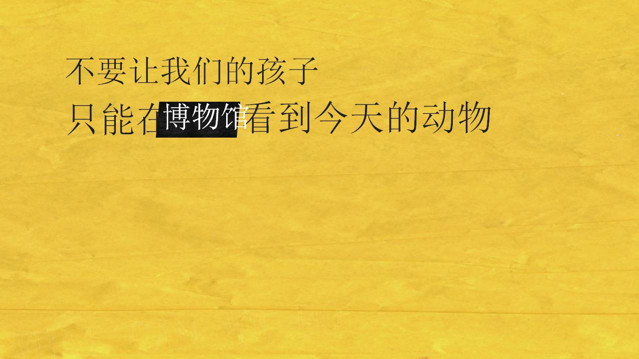 保护濒临动物的ppt