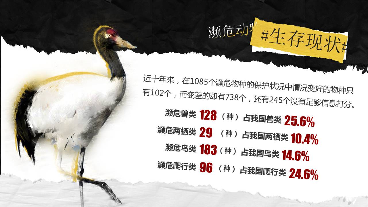 保护濒临动物的ppt
