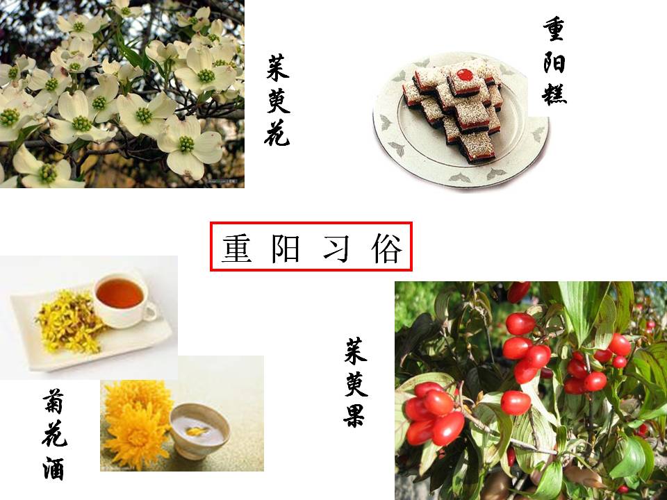 重阳节学生班会ppt模板