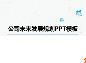 公司发展规划范文ppt推荐