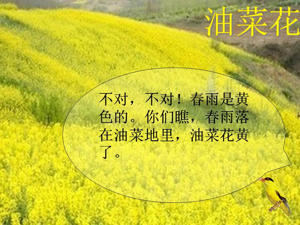 大班春雨的色彩ppt