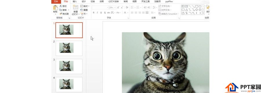 PPT制作技巧：如何将图片应用所有的PPT页面？