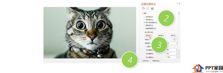PPT制作技巧：如何将图片应用所有的PPT页面？