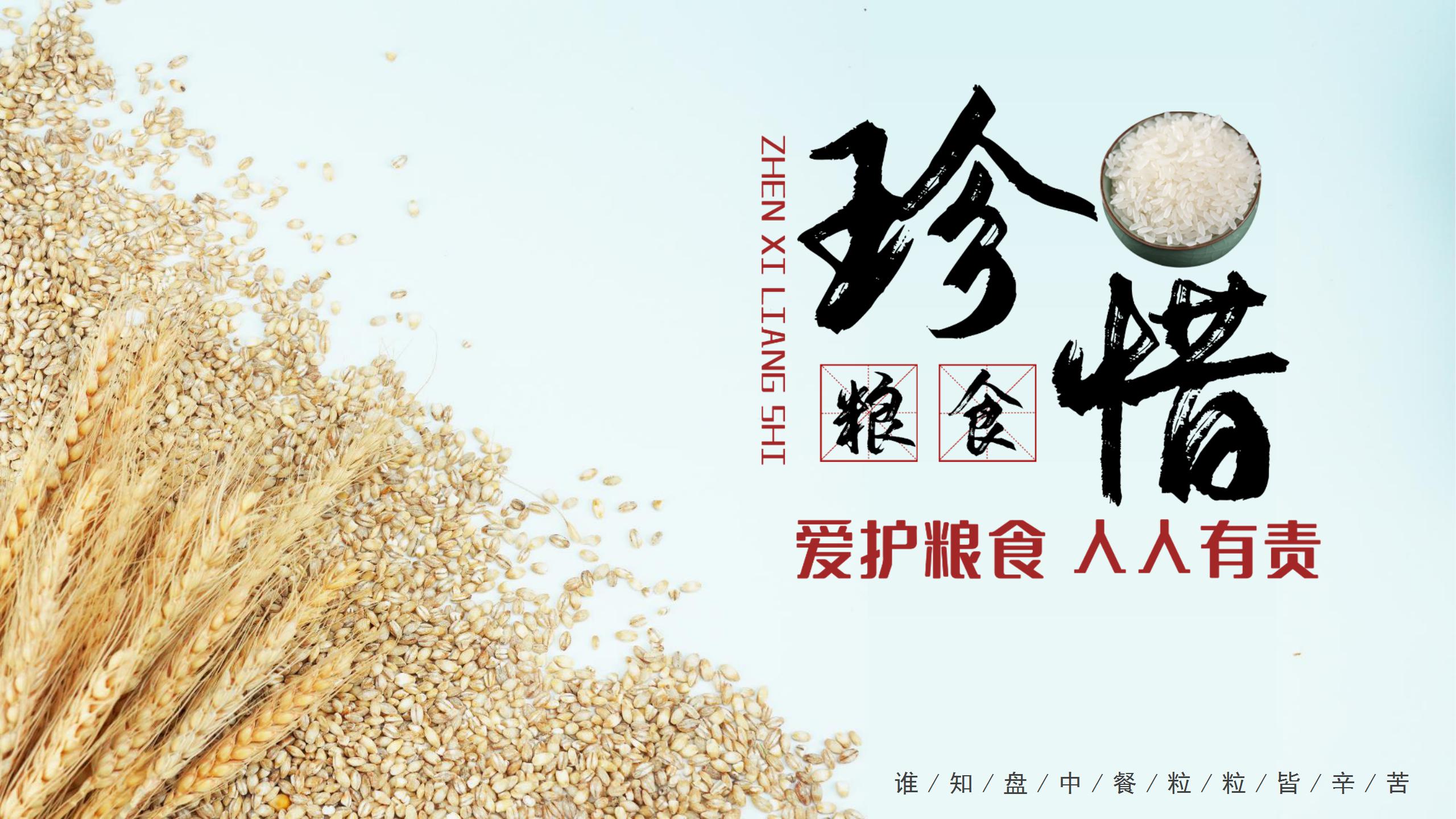 爱护粮食人人有责主题工作汇报ppt模板