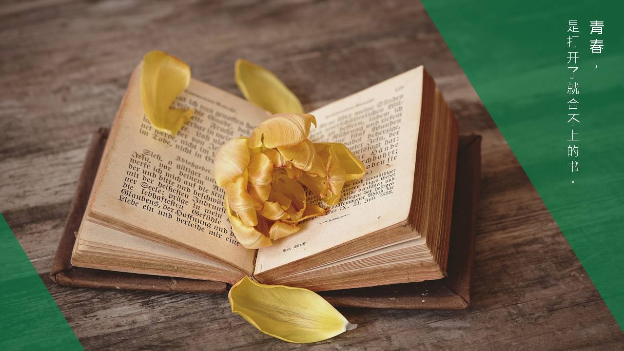 青春不散场毕业纪念相册ppt模板