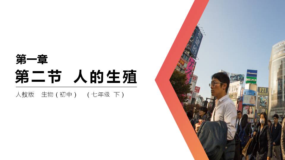 七年级下册生物人的生殖ppt
