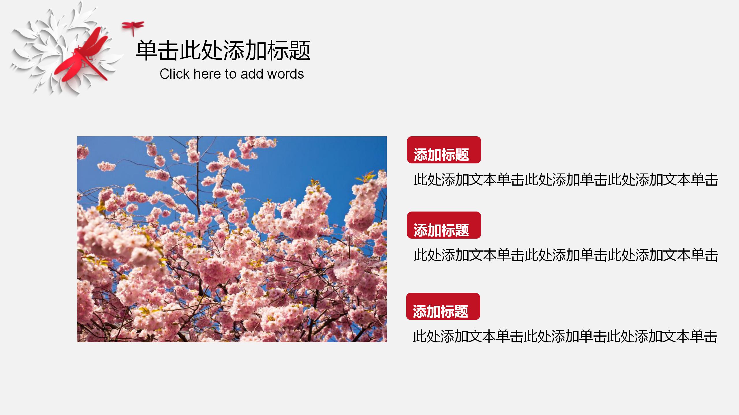 管理评审PPT模板下载