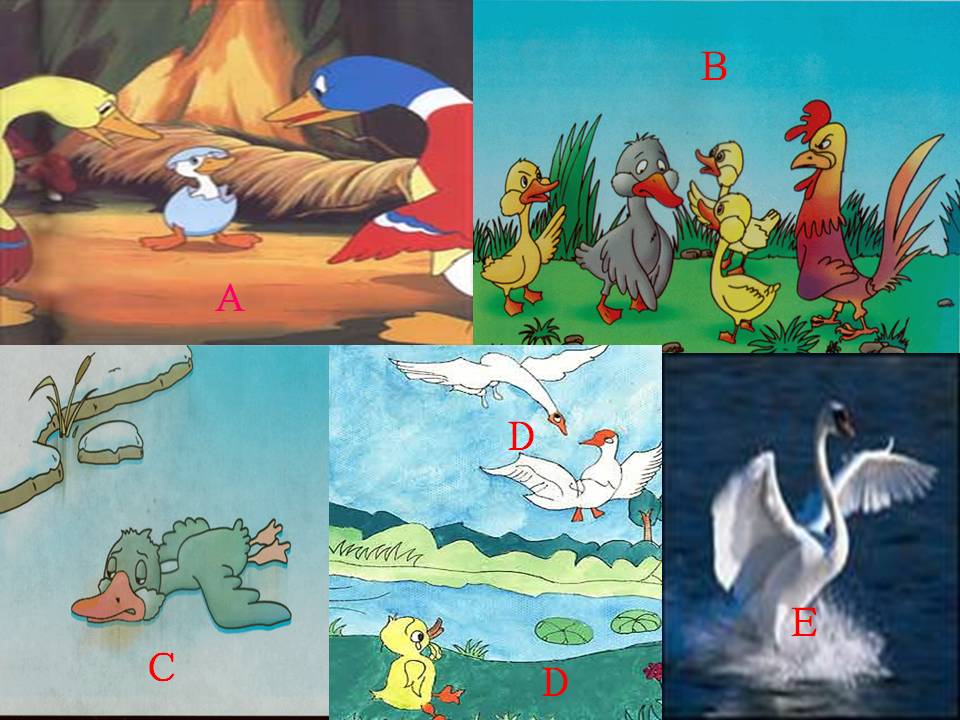 七年级丑小鸭ppt课件