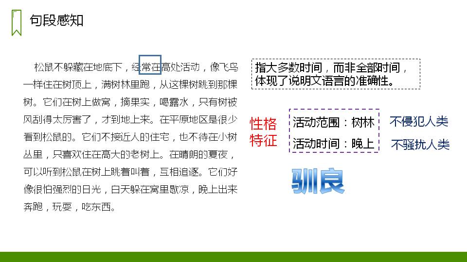 五年级松鼠ppt课件