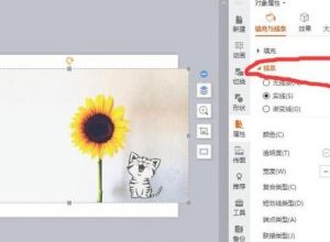 在ppt中怎样给图片加边框 