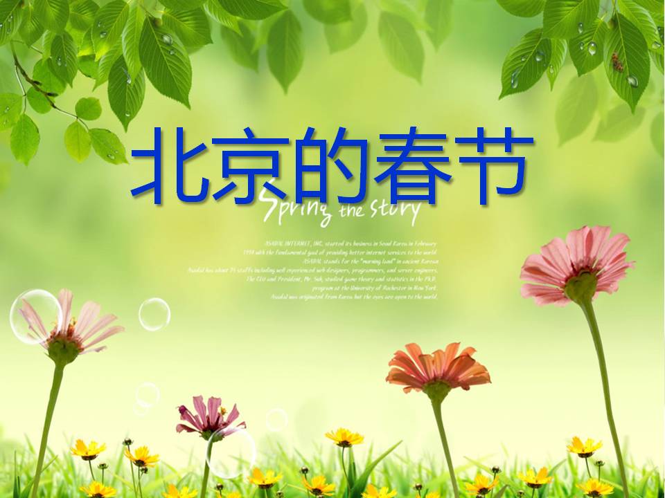 北京的春节ppt课件生字ppt课件