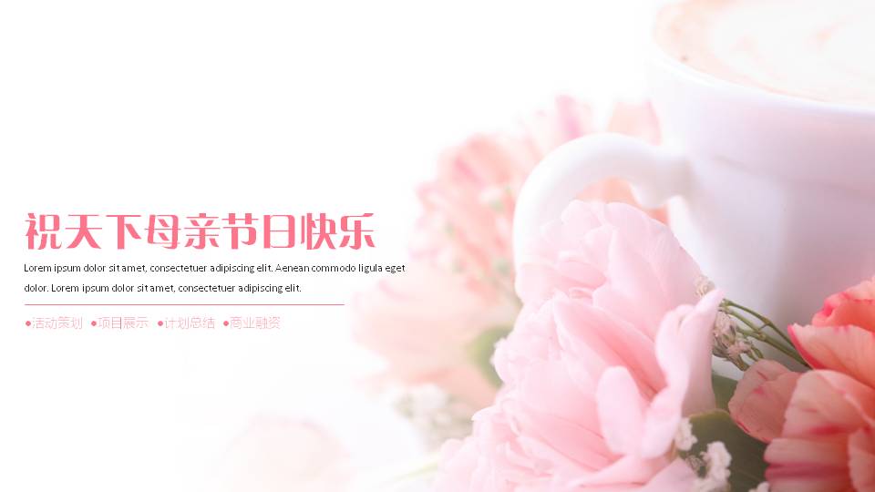 母亲节康乃馨背景pptt模板