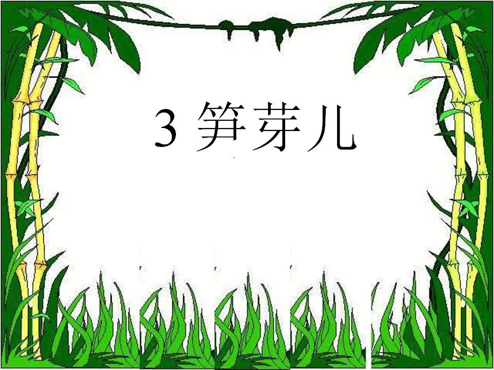 《笋芽儿》PPT课件2ppt课件