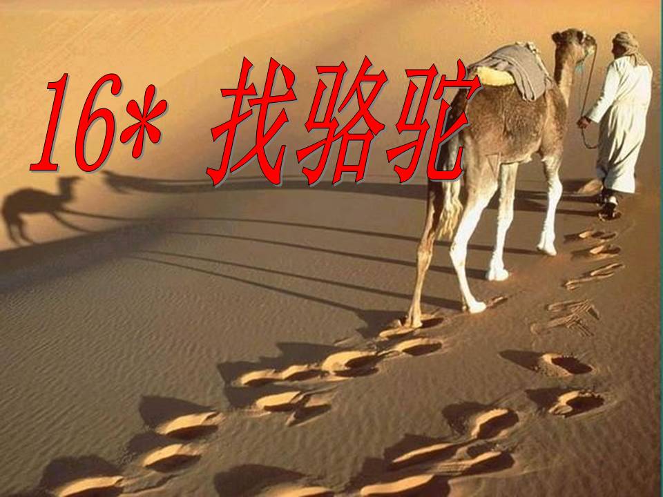 《找骆驼》PPT教学课件下载5PPT课件下载