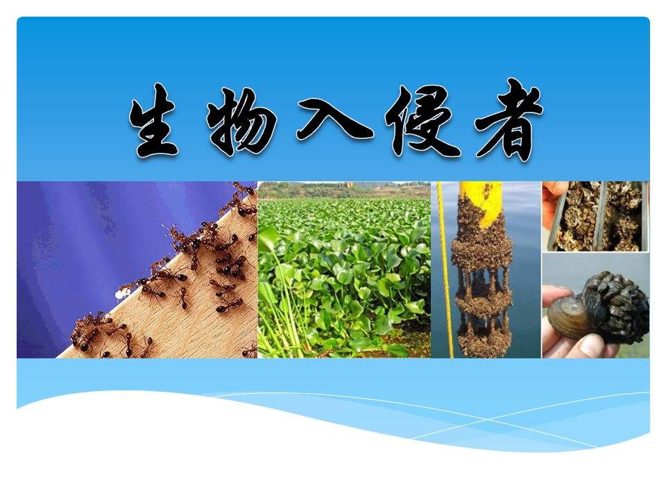 《生物入侵者》MP3课文朗读PPT课件下载