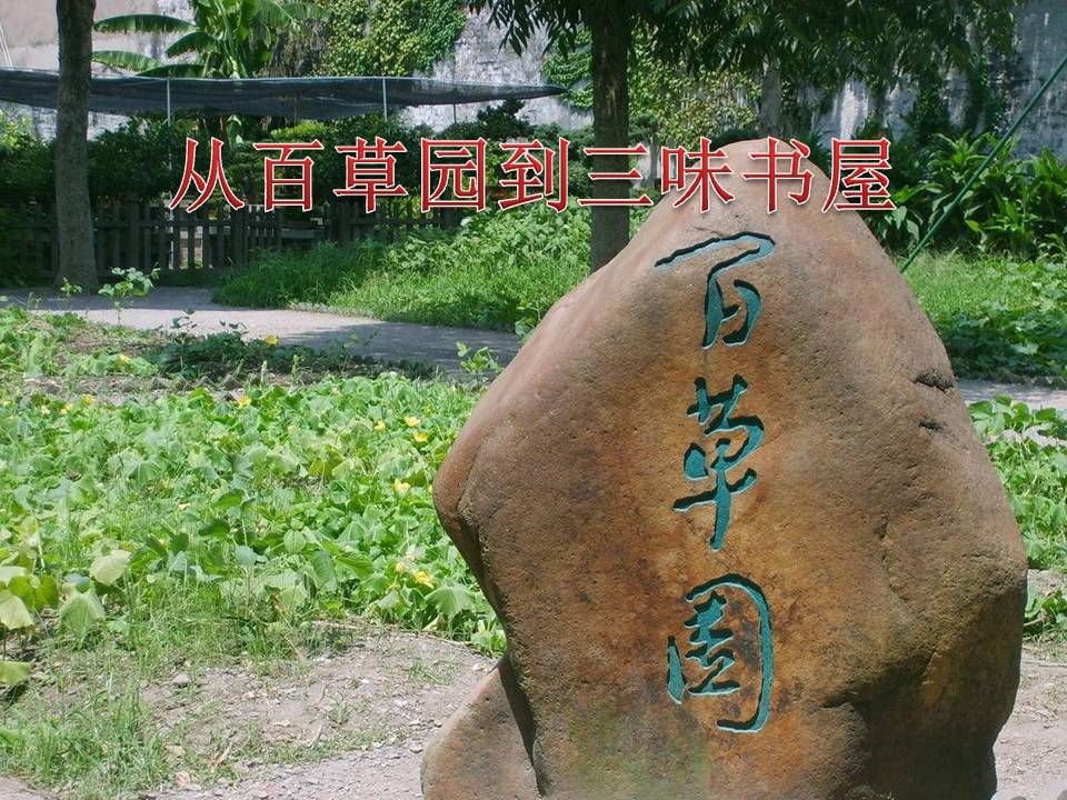 《从百草园到三味书屋》PPT课件4PPT课件下载