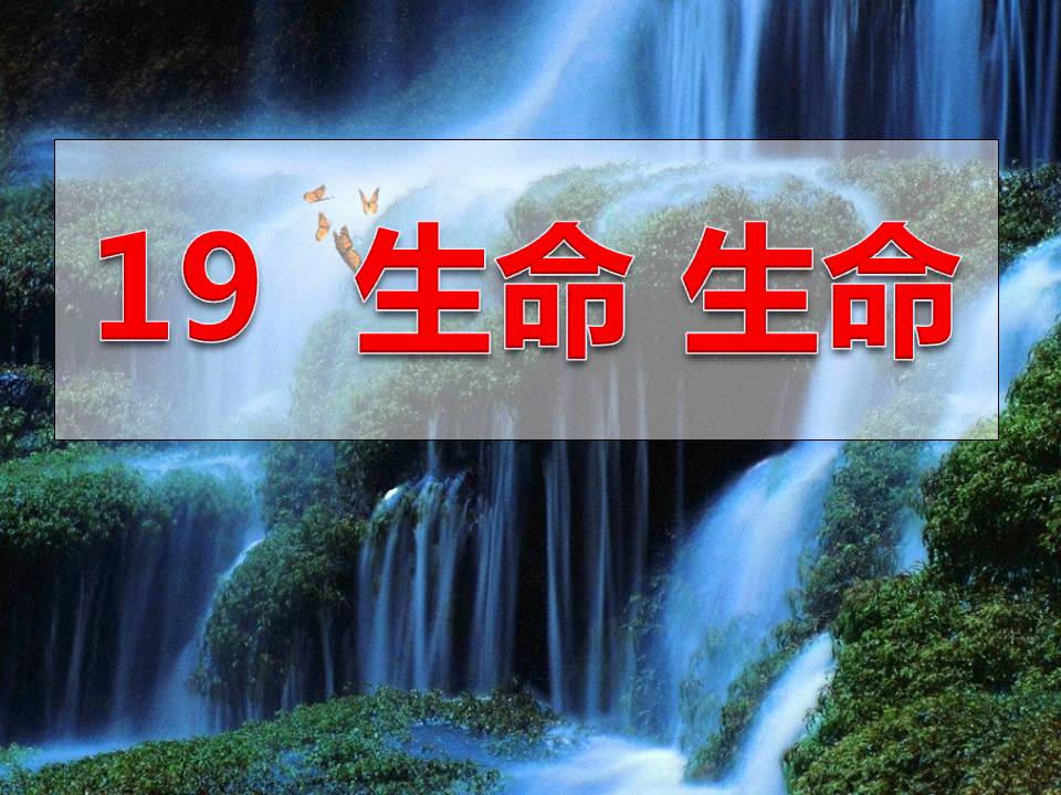 《生命生命》PPT课件7PPT课件下载