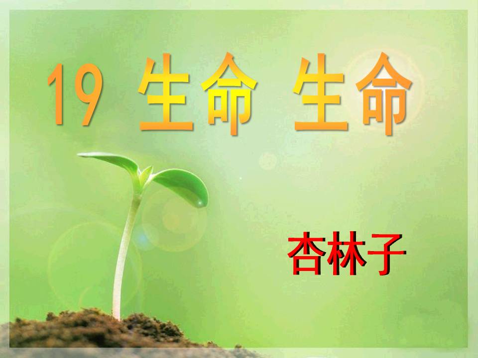 《生命生命》PPT课件10PPT课件下载