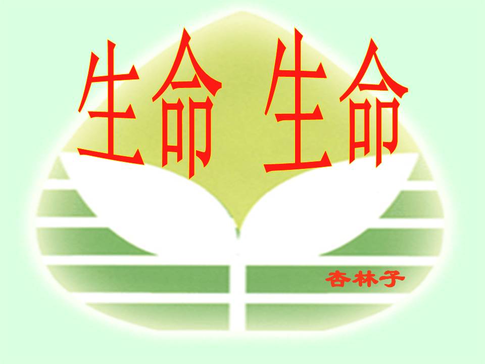 《生命生命》PPT课件PPT课件下载