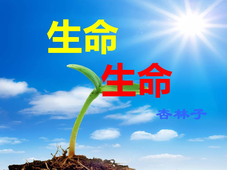 《生命生命》PPT课件2PPT课件下载