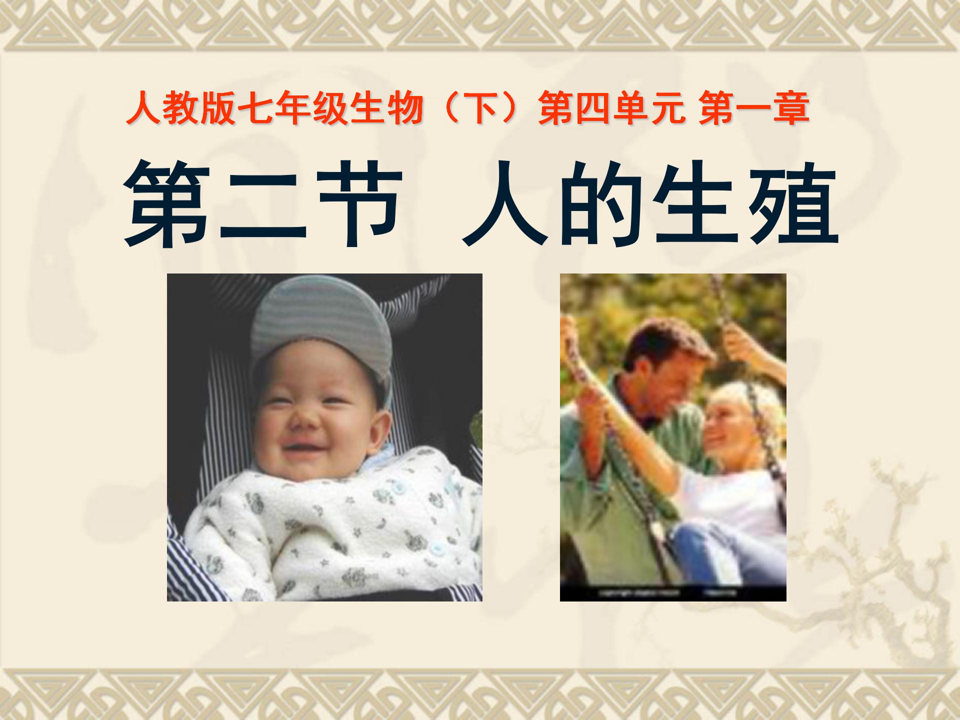 《人的生殖》人的由来PPT课件3