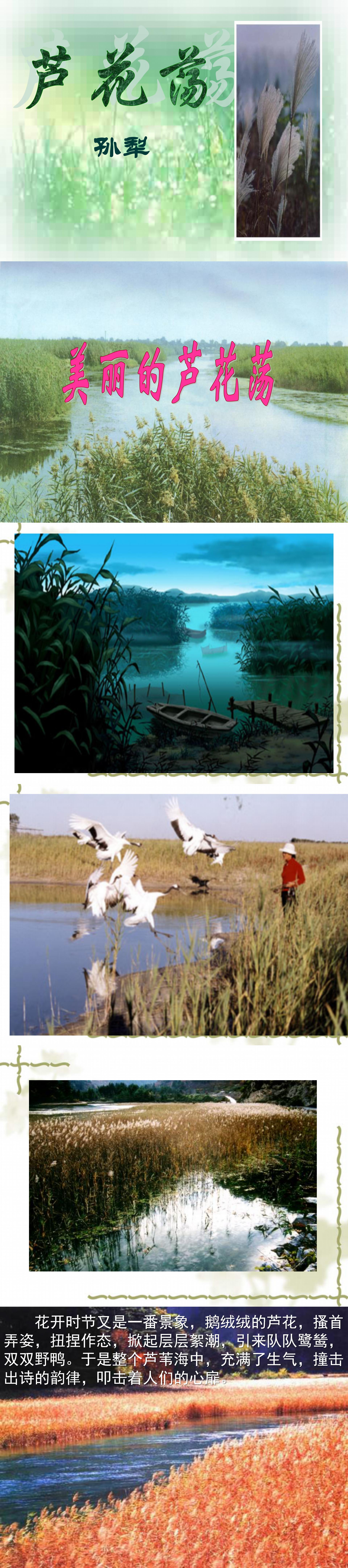 《芦花荡》PPT课件4PPT课件下载