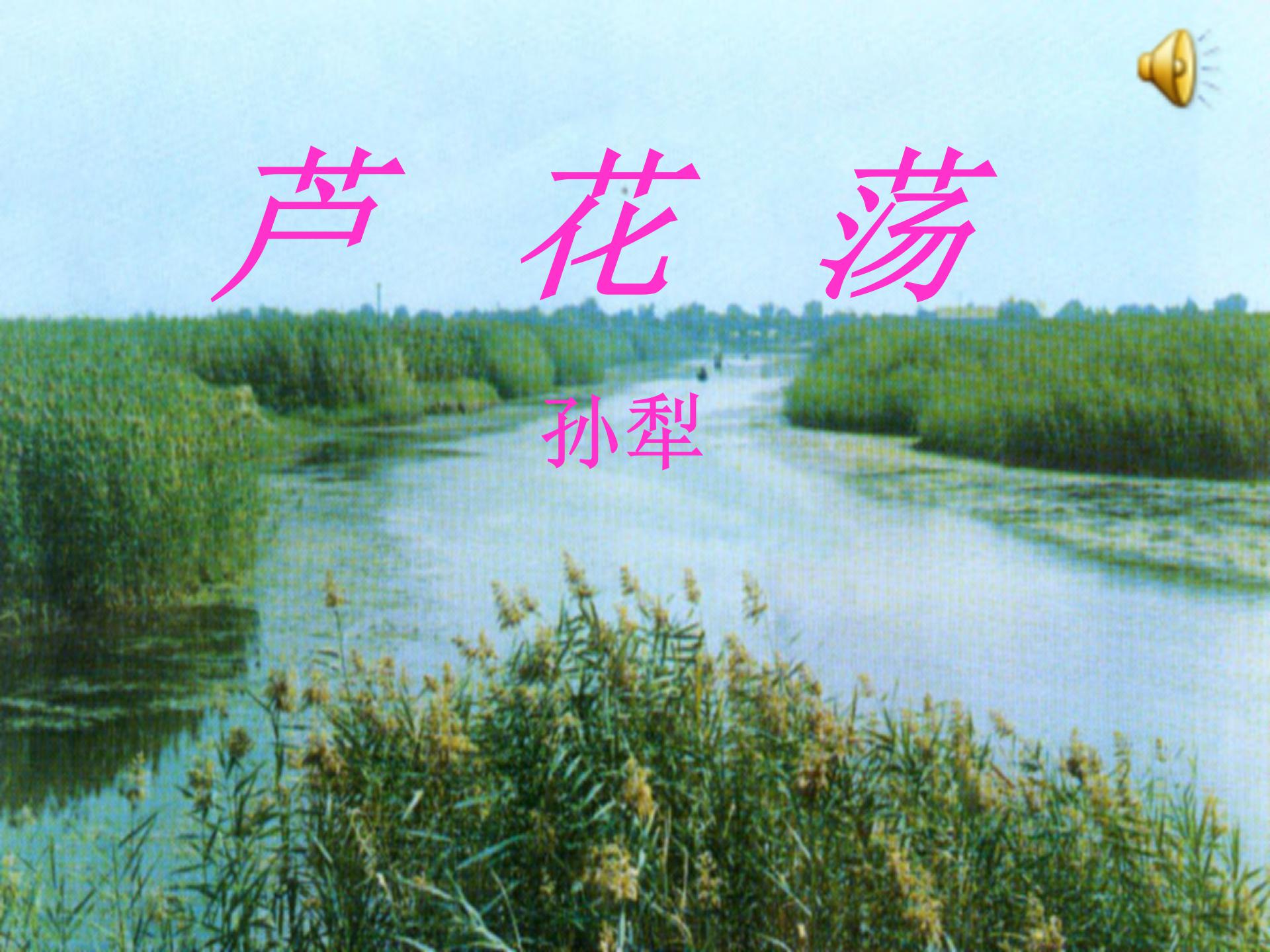 《芦花荡》PPT课件3ppt课件