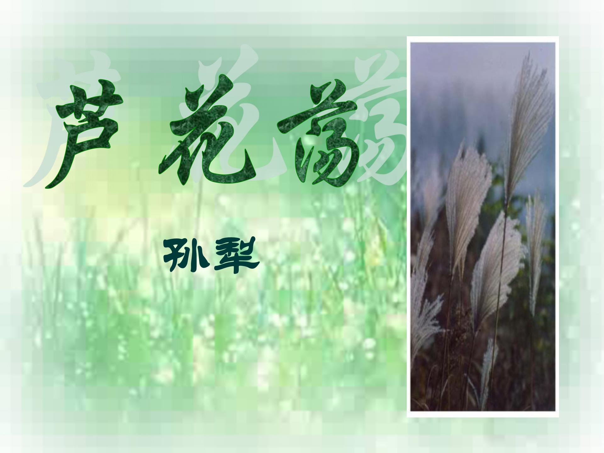 《芦花荡》PPT课件4ppt课件
