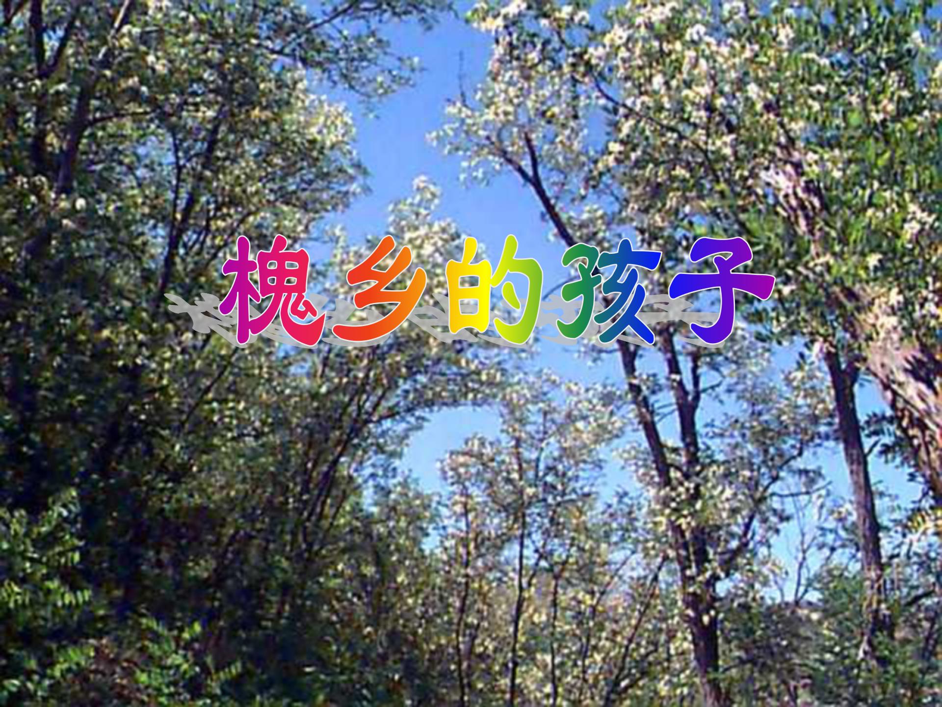 《槐乡的孩子》PPT教学课件下载2ppt课件