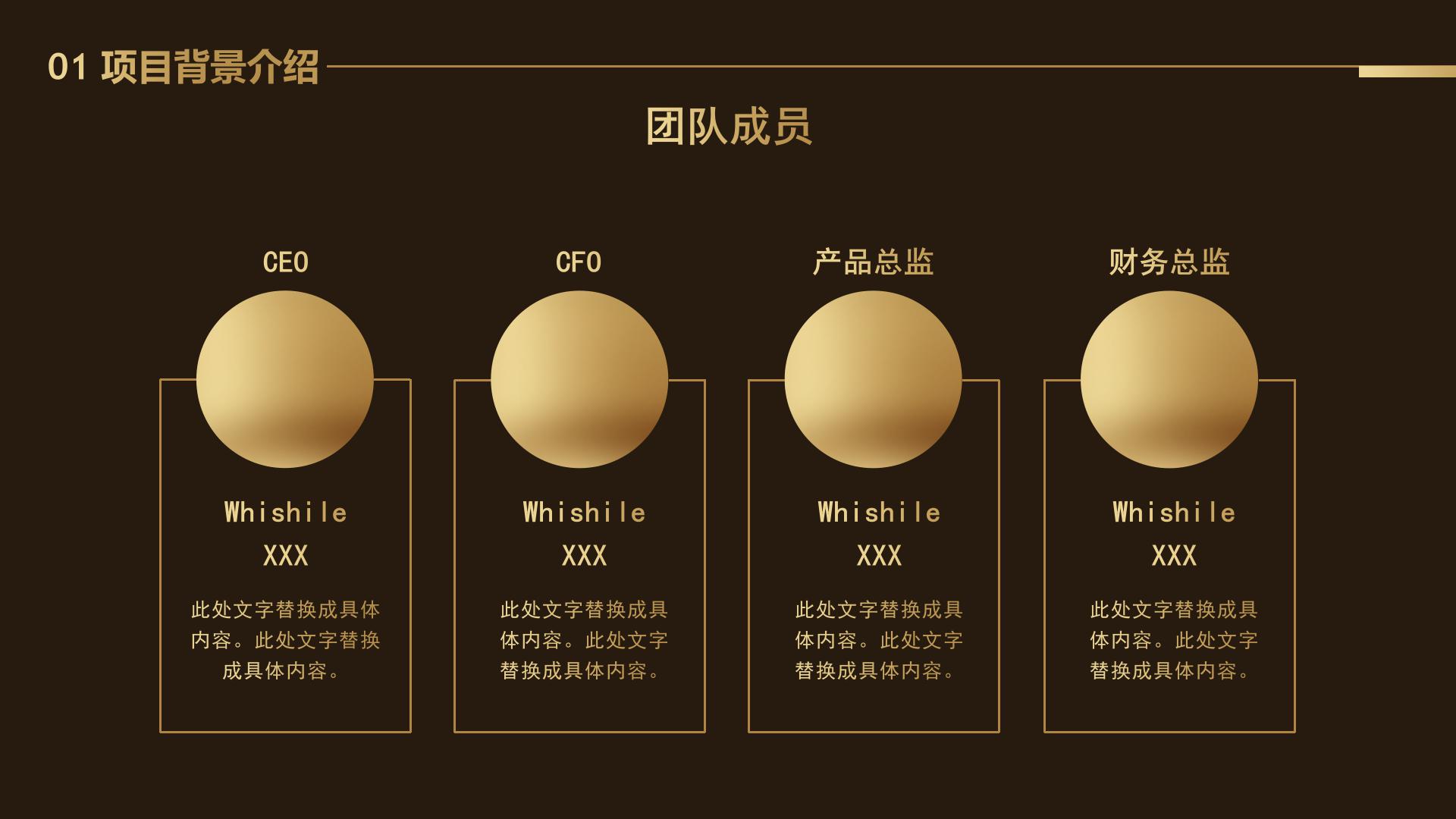 黑金高端创新创业计划书ppt模板